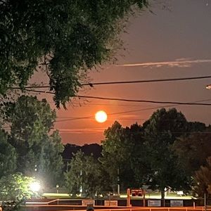 Thank you for checking out my closet! Have a great day!!